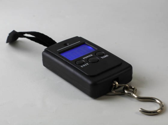 How to Calibrate a Handheld Scale: Step-by-Step Guide for Accuracy