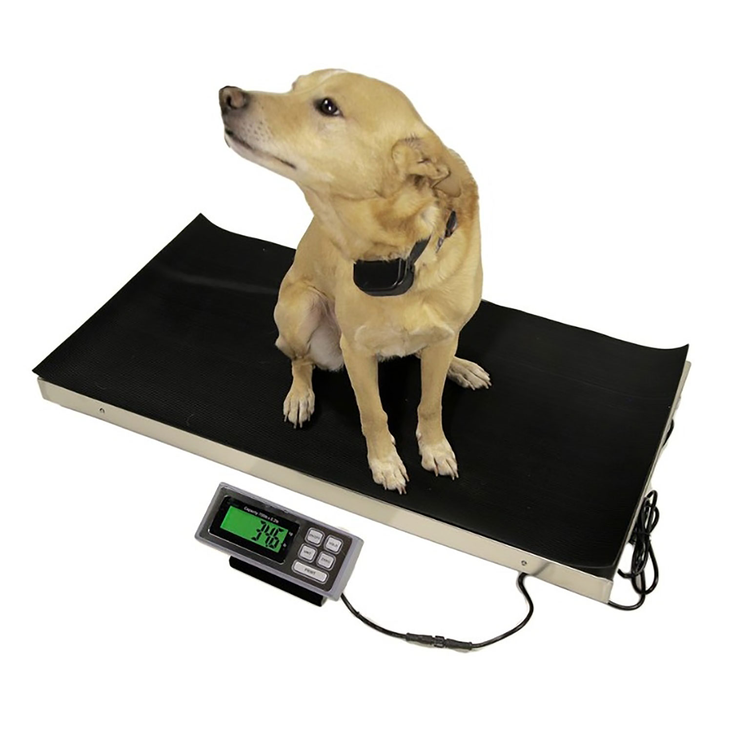 Digital Pet Scales Dog Scale - China Pet Scale, Dog Scale