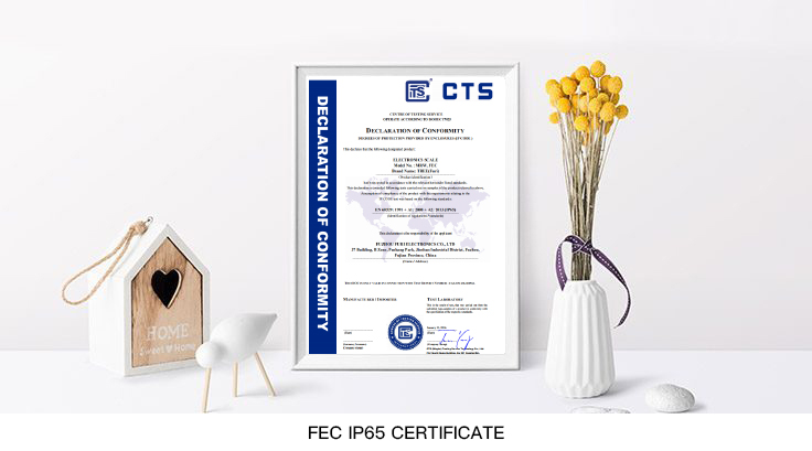 FEC-IP65-certificate