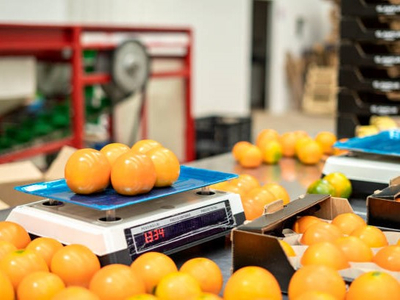 4 Retail Pricing Scales for Supermarket & Grocery Precision.jpg