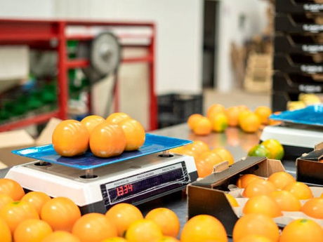 4 Retail Pricing Scales for Supermarket & Grocery Precision.jpg