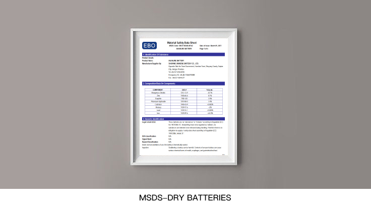 MSDS-dry-batteries