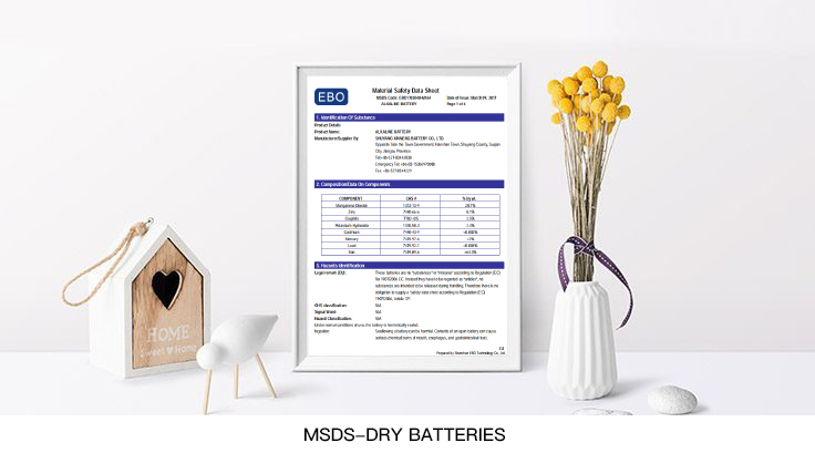 MSDS-dry-batteries