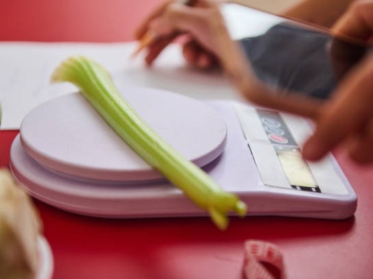 How to Choose a Kitchen Scale Supplier for B2B Purchasing